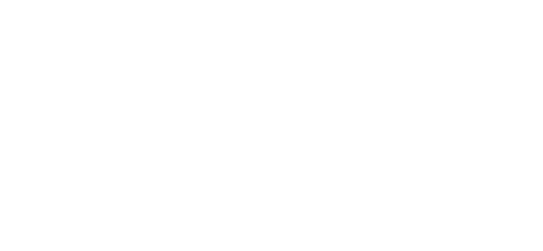 University of York Logo